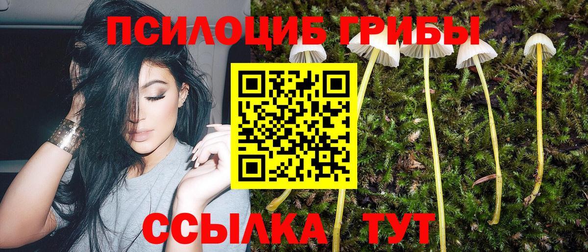 Сатка  Галлюциногенные грибы Magic Shrooms  наркошоп  Вход с VPN 